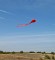 Воздушный змей Осьминожек над полем