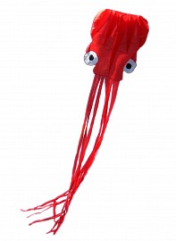 Воздушный змей «Осьминожек».